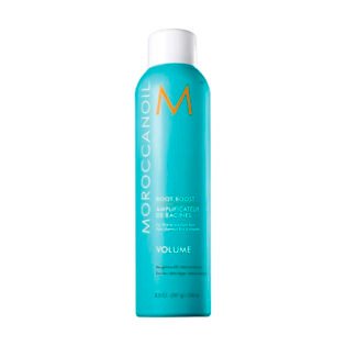 Root Boost (Amplificateur de Racines) 250ml